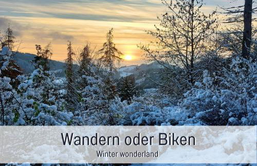 Ferienwohnung im Sauerland Hunde willkommen Kamin und Garten am Waldrand Muehls-Sauerland - Foto 42