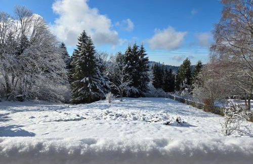 Chalet Le DRUZIA at 1000 m - Foto 37