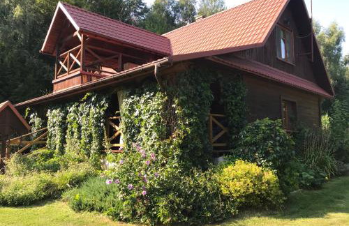 Leśniczówka domek balia sauna jeziorka w lesie na wyłączność - Foto 4