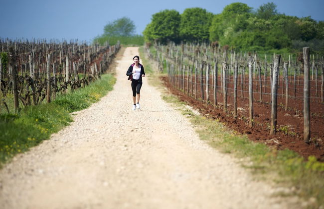 Skiper Golf Resort - Photo 34