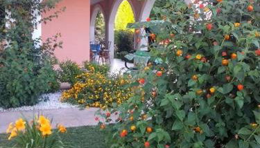 Stella marina residence - Foto 3