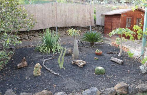 La Alpispa - Foto 42