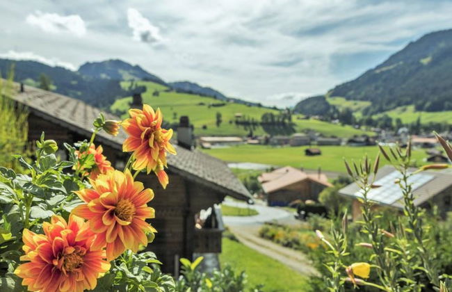 1 bedroom Apartment in Zweisimmen - Photo 9