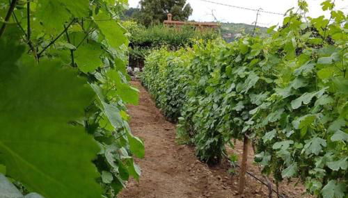 LA TAGORA Conect with the nature & relax - Foto 4