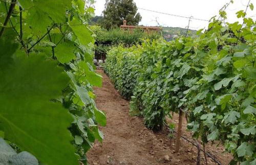 LA TAGORA Conect with the nature & relax - Foto 35