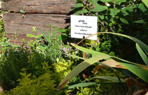 Ferienwohnung Winzerloft - Foto 28