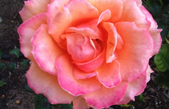 Augusta Escape - Foto 15