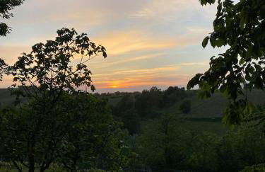 Casa intera tra le colline e le vigne del Dolcetto - Foto 23