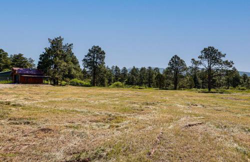 Mountain Escape Nestled in Quaint, Historic Mancos - Foto 21