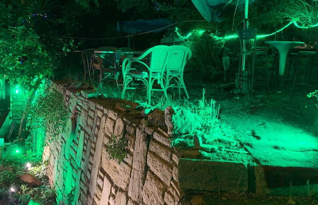 Orkide Apart Hotel - Foto 67