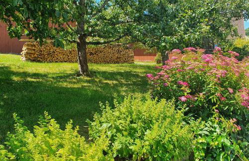 Landgasthof Lamm Ferienwohnungen - Foto 9