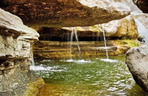 Lamar Treehouse - Photo 56