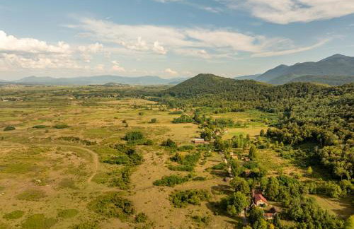 Forest Paradise - Foto 25