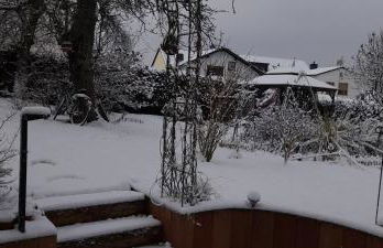 FeWo Sonnenblume mit sauna - Photo 31