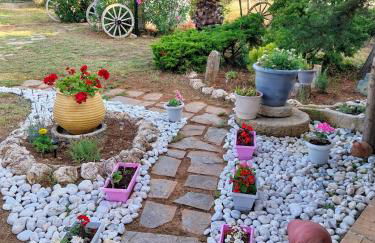 Menƴ's Azure Escape - Foto 5