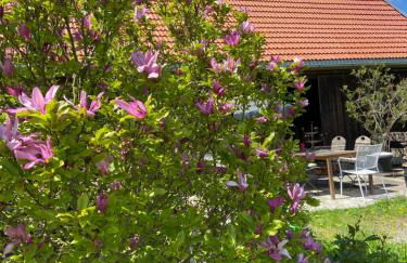 Allgäu Cottage - traumhafter Blick in die Schweizer Berge - Foto 48