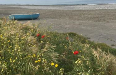 Villa bella Diamante - Foto 30