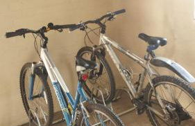 Ffyllon Fawr - Foto 20