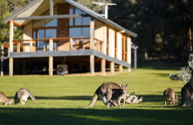 Yering Gorge Cottages - Foto 57