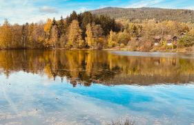 Haus Sonnenblick - Foto 19