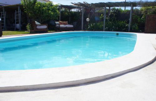 João Jungle - Foto 5