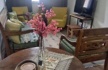 Apart em SJDR às margens da estrada real - Foto 16