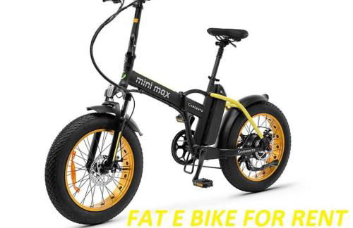 Residenza Le Camelie - Foto 42