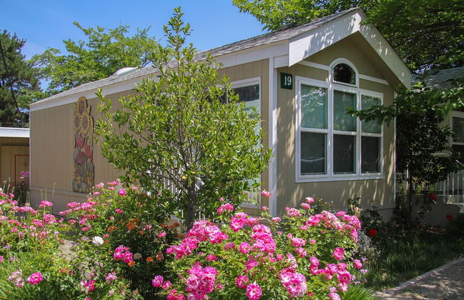 Arden Acres Executive Suites and Cottages - Foto 37