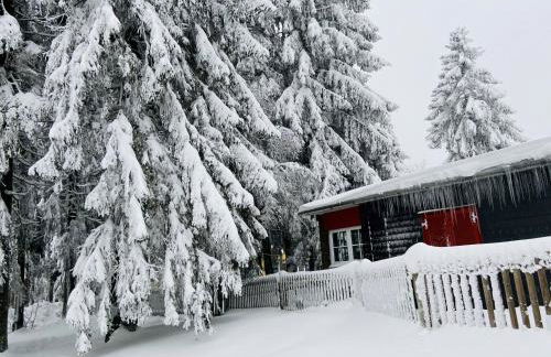 Ferienhaus Baude Steinheid am Rennsteig mit 2 Schlafzimmern max 12 Personen - Foto 33