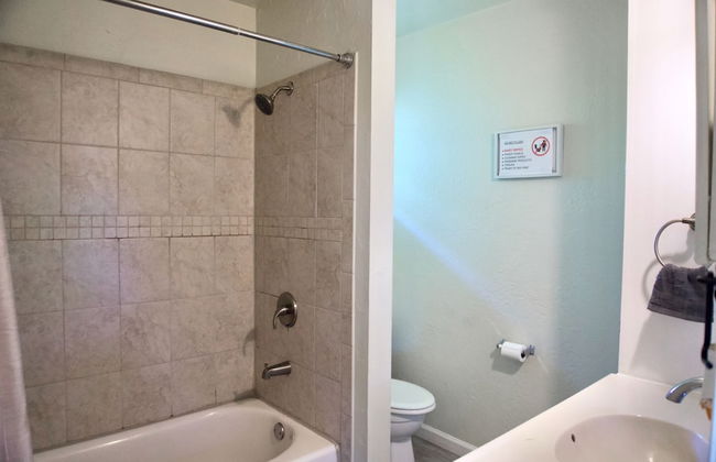 Cozy Home- Zoos Museums Fun Step From Your Door - Photo 14