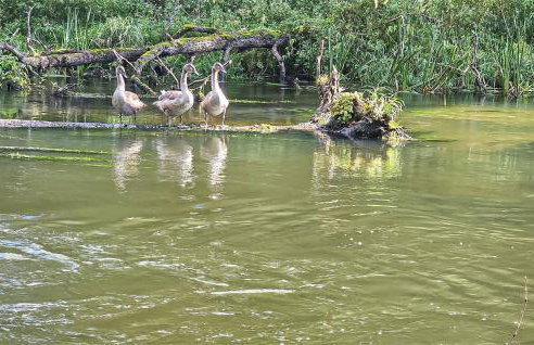 Nice Home In Ustka With Wifi - Foto 39