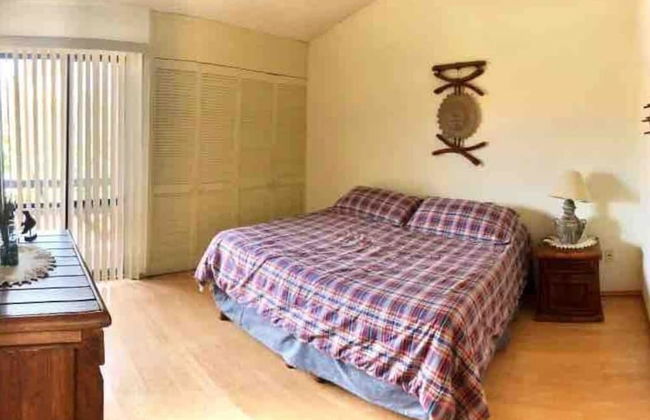 Tranqulidad y Seguridad en Avenida Principal - Foto 7