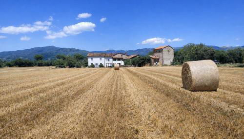 Casa del Contadino - Photo 2