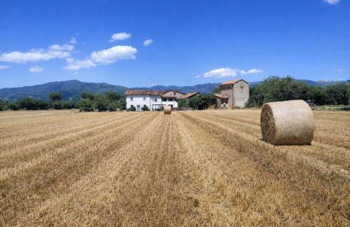 Casa del Contadino - Photo 2