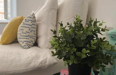 Apartments Karuza Center of old town Vis - Photo 12