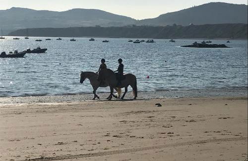 Apartment 2, Gorwel Glas - Photo 28