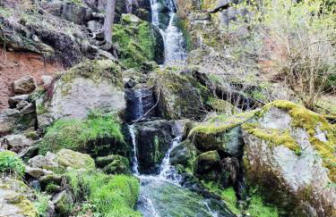 Fewo Klöppel Auersbergblick - Foto 36