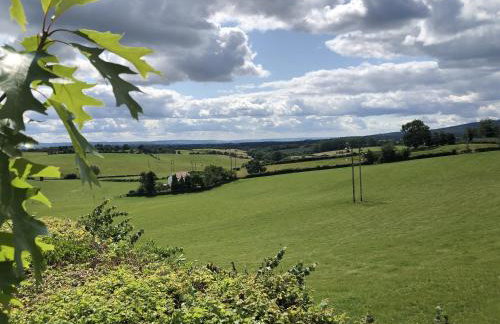 Betula Views - Photo 24