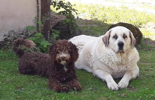 Apartamentos Rurales Ecopangea - Foto 25