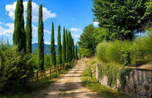 Agriturismo il Pino - Bioagricoltura - Foto 41