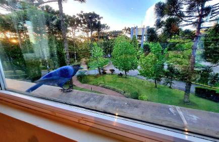 Espetacular Flat no Mountain Village - Foto 9