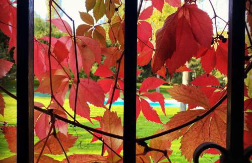 La Escribana - Photo 50