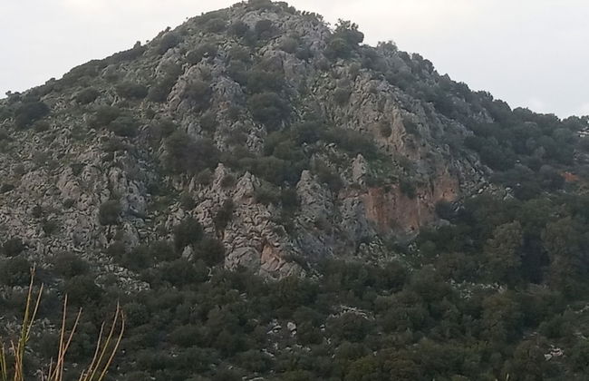 Villa Mirabello Suites - Foto 19