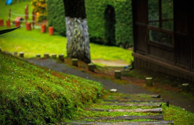 Los Vagones Cabañas Restaurante Bar - Photo 65