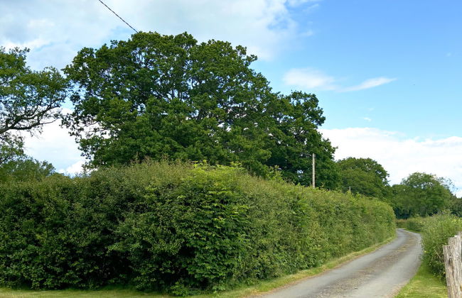 Fir Cottage - Foto 41