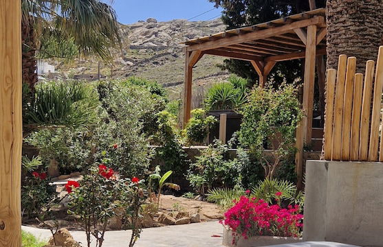 Levantes House Mykonos - Photo 34