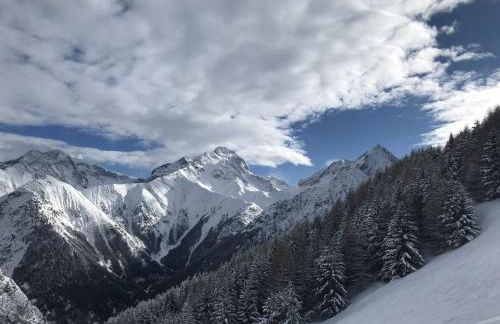 VENOSC Le Haut de la Grange - Foto 33