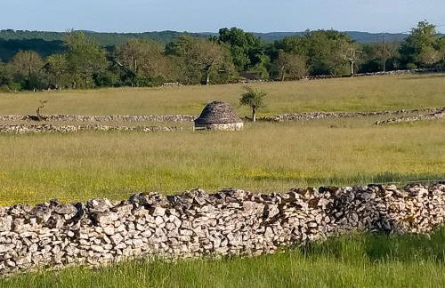 Le Clos de Roussières - Foto 22