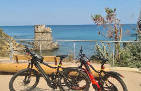 Casa Merea 16 - Foto 53