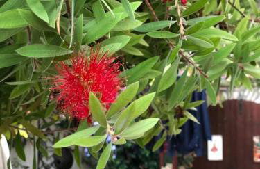 Authentic Vila Nona by NYC Interior Architect - Foto 46